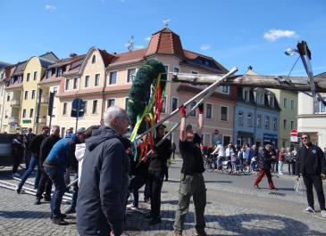 Hoch der Maibaum