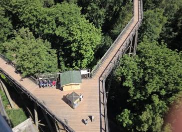 Baumwipfelpfad